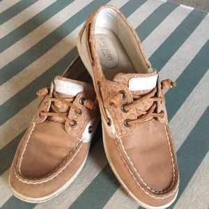 Sperry topsider